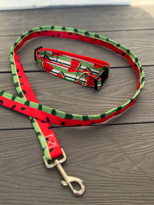 ☀️ Summer Slice Leash and Collar Set 🍉