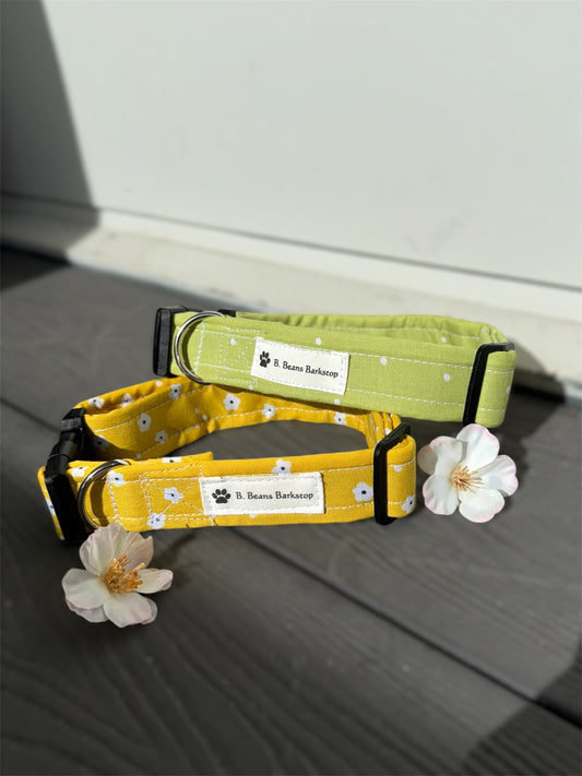 🌼 Yellow Floral &
🍋 Lime Pop Collar
