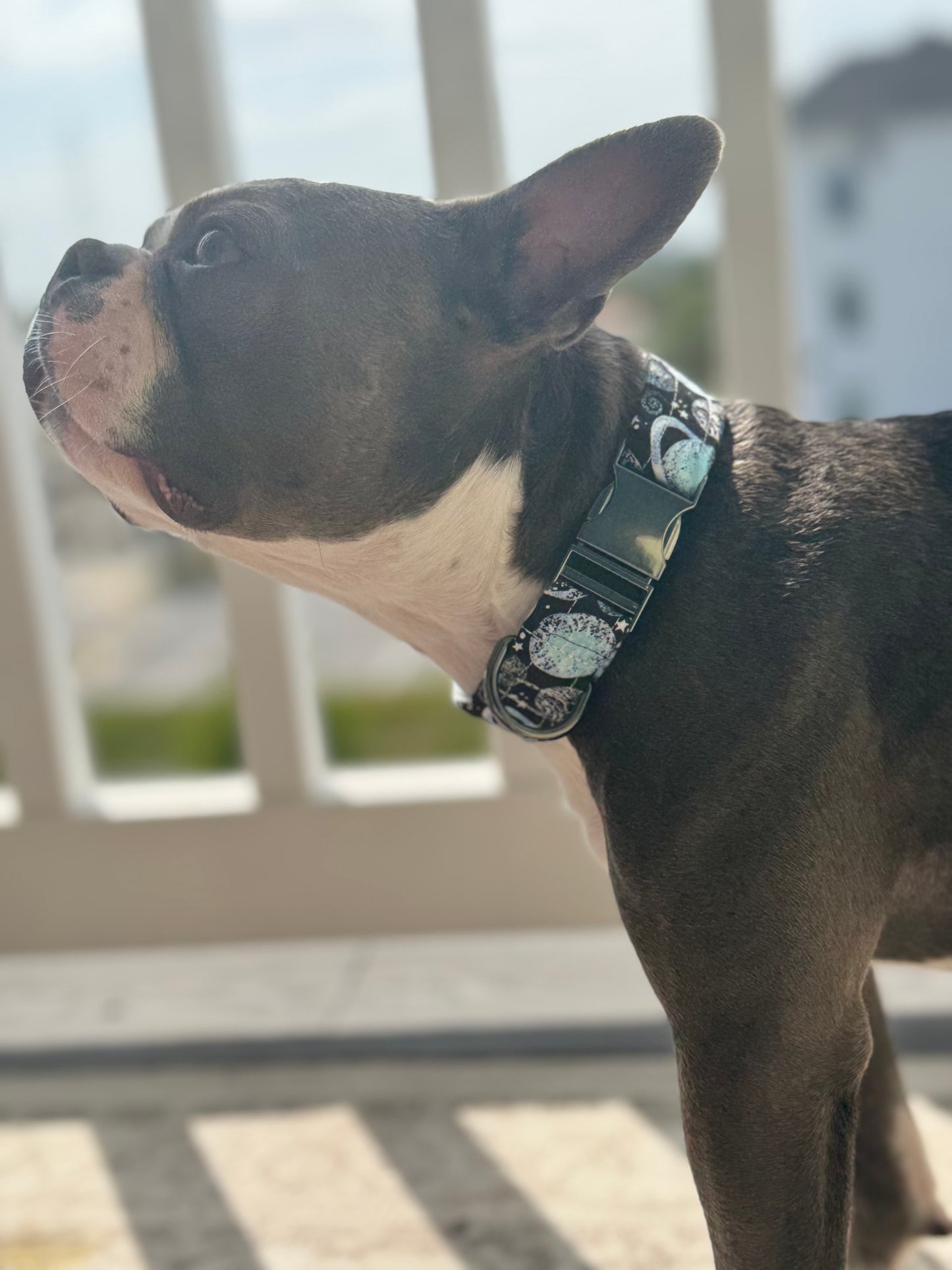 Blue Planets Collar