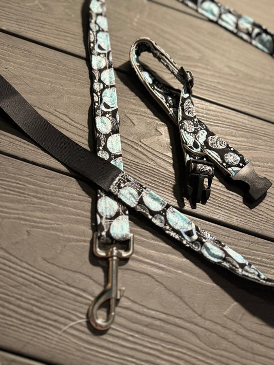 Planets Leash and Collar Set