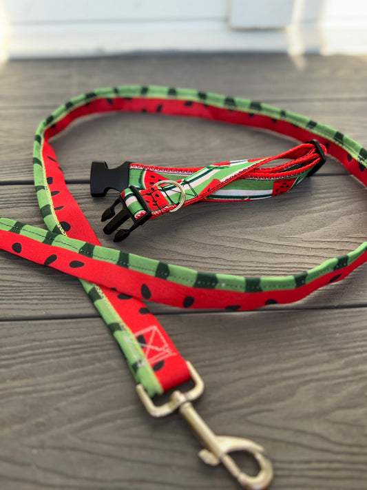☀️ Summer Slice Leash and Collar Set 🍉