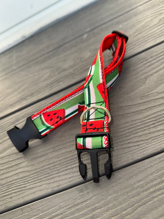 ☀️ 🍉 Summer Slice Collar
