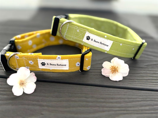 🌼 Yellow Floral &
🍋 Lime Pop Collar